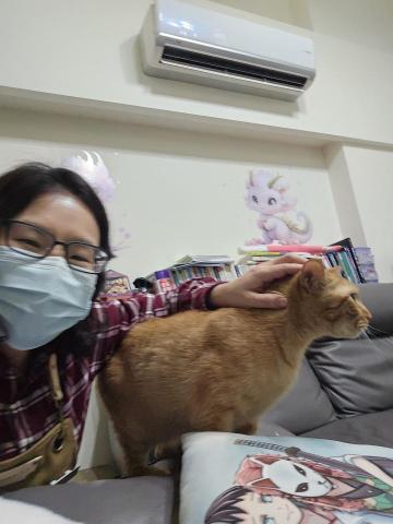 Susan Wang - 這個個案,警戒心稍高的阿橘,從第一,二天躲起來不敢見到我,到第三天已經能開始蹭蹭,及讓我摸摸,很開心我能給牠們帶來足夠的信任感,可愛的毛孩,希望以後還能有成為牠們貓奴的機會 ❤️ Susan Wang - 這個個案,警戒心稍高的阿橘,從第一,二天躲起來不敢見到我,到第三天已經能開始蹭蹭,及讓我摸摸,很開心我能給牠們帶來足夠的信任感,可愛的毛孩,希望以後還能有成為牠們貓奴的機會 ❤️