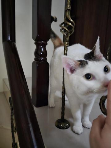 Susan Wang -  Susan Wang -