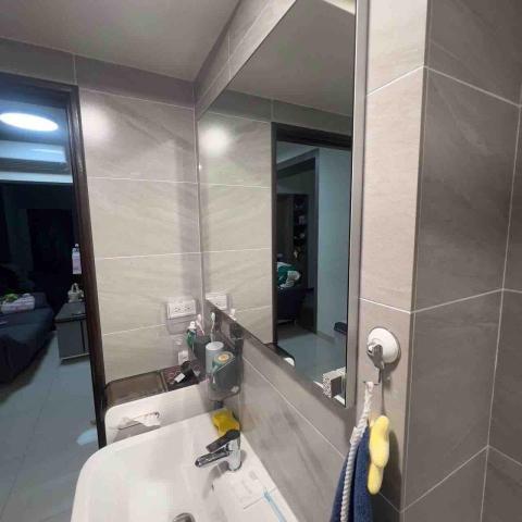 宸洋清潔工作室 - 大豐二路固定居清