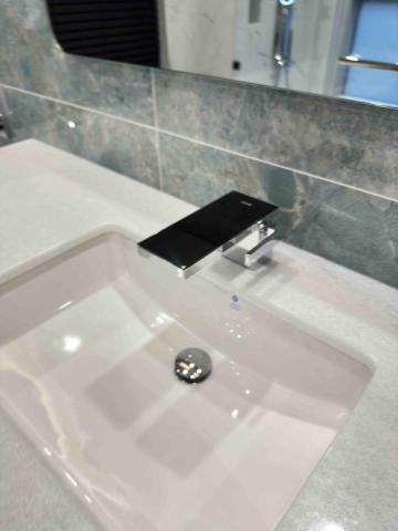 鍍銠爺鍍膜 - 洗手槽