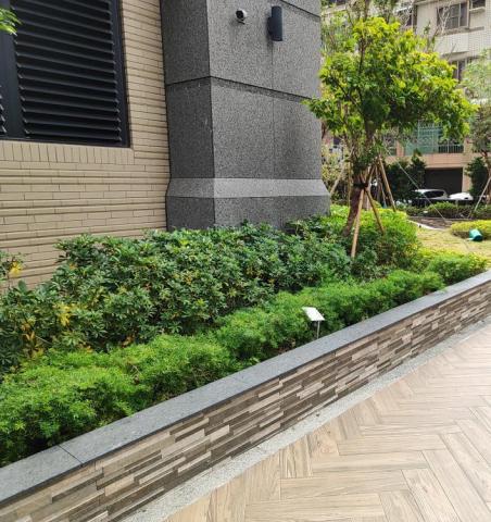 台南園藝行 - 灌木修剪