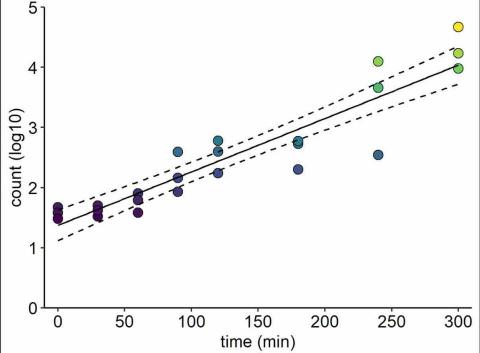 王昱翔 - 實驗數據回歸分析及視覺化