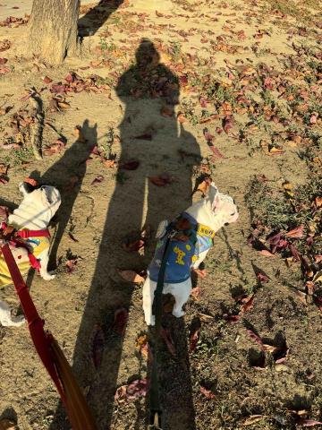 樂葛安．卡都碧嵐（Legeang.kutupiljan) - 過去一次帶兩隻寶貝散步、玩耍