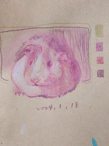 袁敏軒 - 色鉛筆畫