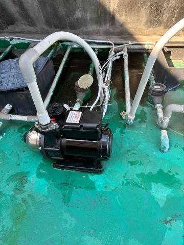 游銘揚 -  游銘揚 -