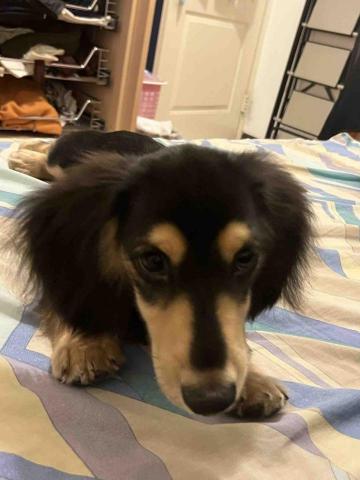 汪怡馨(小汪） - Snow