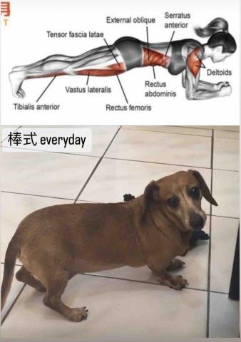 汪怡馨(小汪） - 吉寶（女生）