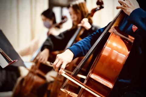 享響提琴音樂  - 成人大提琴教學