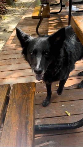 汪怡馨(小汪） - 拋拋（跟學生討便當吃）