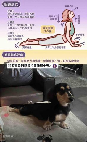 汪怡馨(小汪） -  Snow(史諾）男生