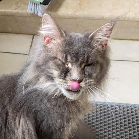 提供住宿服務的專家游晏慈