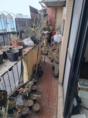 阿信搬運 家具拆除 清運 - 