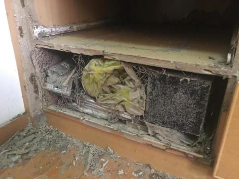 酷居除蟲 - 白蟻