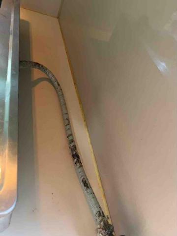 部落清潔 -  部落清潔 -