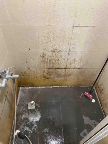 部落清潔 -  部落清潔 -