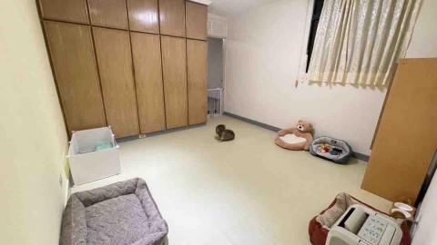 毛孩的Tiger哥哥 - 