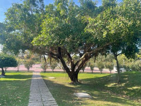 豪雅景觀園藝 - 