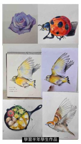 芯瑜｜1對1到府家教 - 