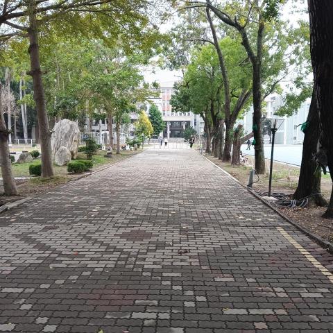 提供數學老師ptt服務的專家蔡斐名