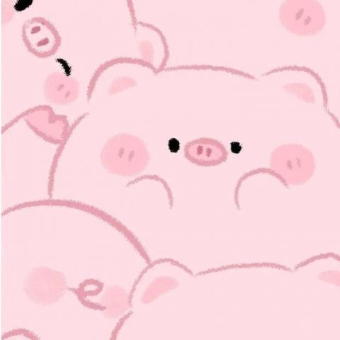 提供皮包店服務的專家豬小皮