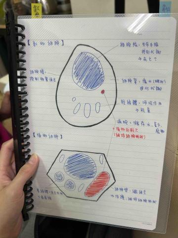 梨小姐 - 國一生物科筆記整理