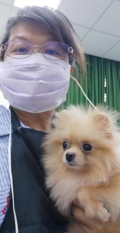 潘麗玉 - 這隻松鼠博美的毛本來像抹布，我洗好他後眼睛都亮了