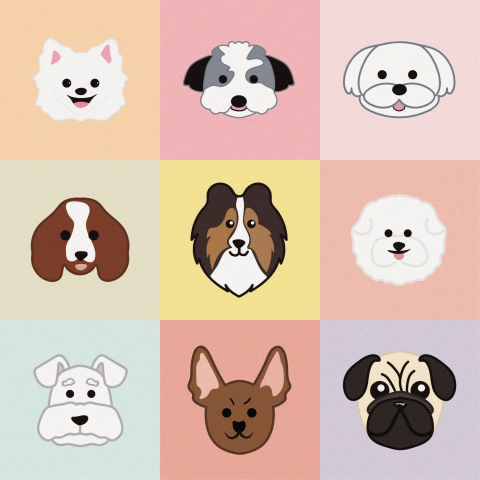 AOIRA 設計工作室 - 插畫設計 AOIRA 設計工作室 - 插畫設計