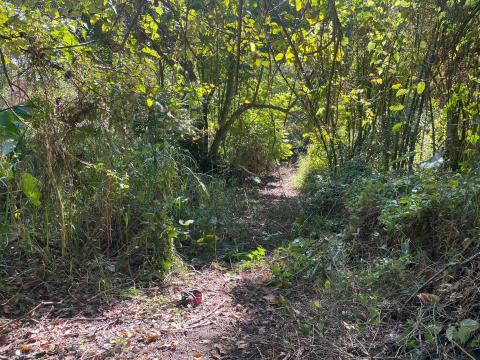 豪雅景觀園藝 - 