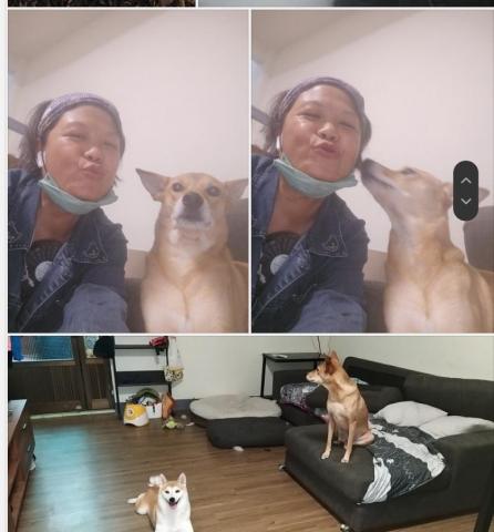 潘麗玉 - 我服務過的 溜溜 和小雪 
每次看到我都一直親我