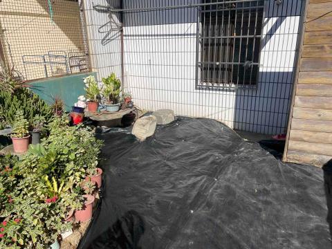 豪雅景觀園藝 - 