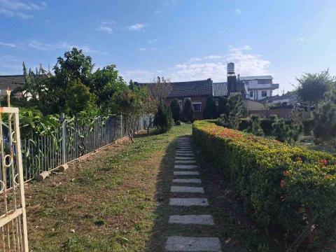 豪雅景觀園藝 - 除草。修綠籬