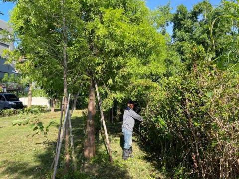 豪雅景觀園藝 - 