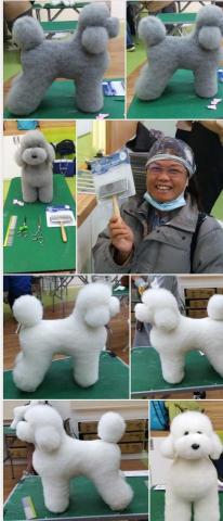 潘麗玉 - 我在弘光的寵物美容假狗作品
他們幫我贏得了五個競賽獎品喔