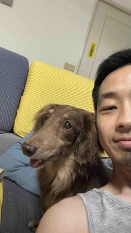 毛孩的Tiger哥哥 - 