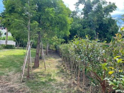 豪雅景觀園藝 - 