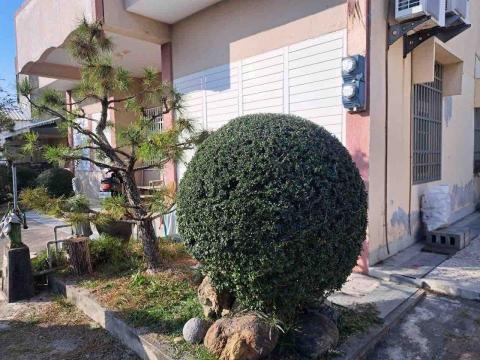 豪雅景觀園藝 - 