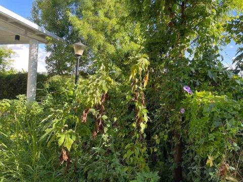 豪雅景觀園藝 - 