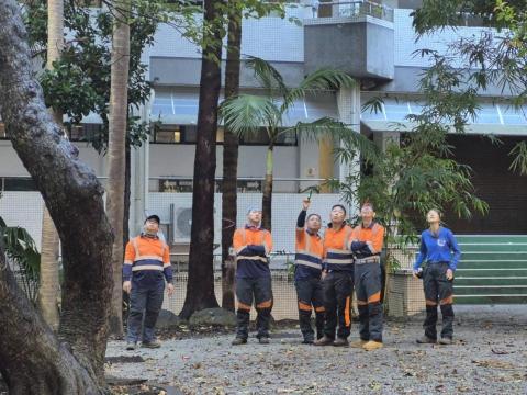 樹聚點有限公司 - 