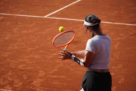 Sophia - 113 年 全大運