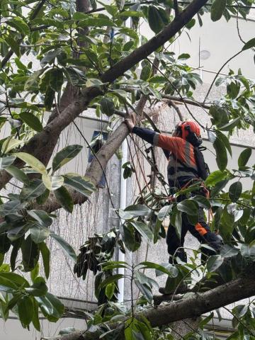 樹聚點有限公司 - 