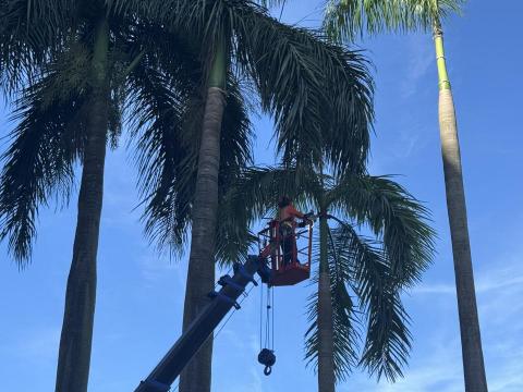 樹聚點有限公司 - 