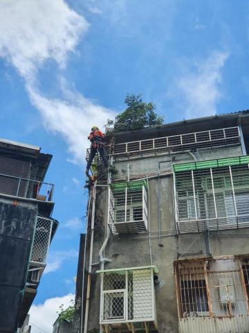 樹聚點有限公司 - 