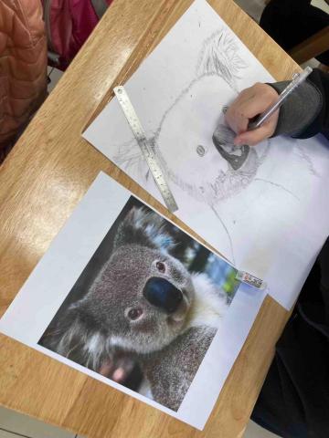 王大可 - 小學生素描學習