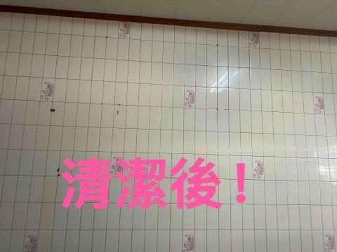 SU Mei Hua - 經過手工刷洗，油污清潔乾淨！