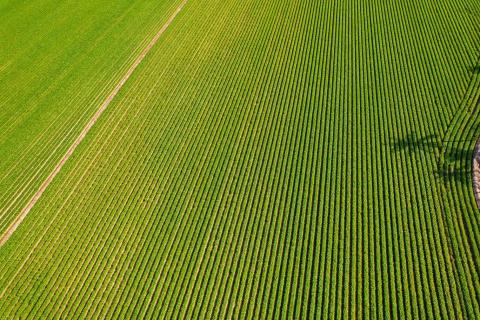 邑興勘查有限公司 - 環境攝影