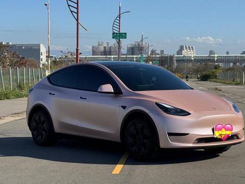 💕Tesla安新接送💕 - 超級大氣的香檳粉～