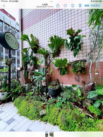 凱文植栽販賣所 - 陽台佈置