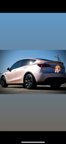 💕Tesla安新接送💕 - 圖片2