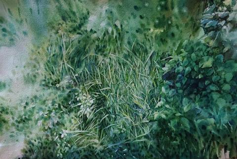 蔡汶澄 - 水彩風景創作