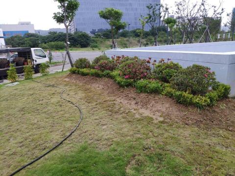 芊圃園藝景觀庭園 - 台大醫院竹北院區案場